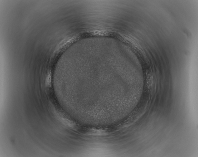 X0000113240502200910011329