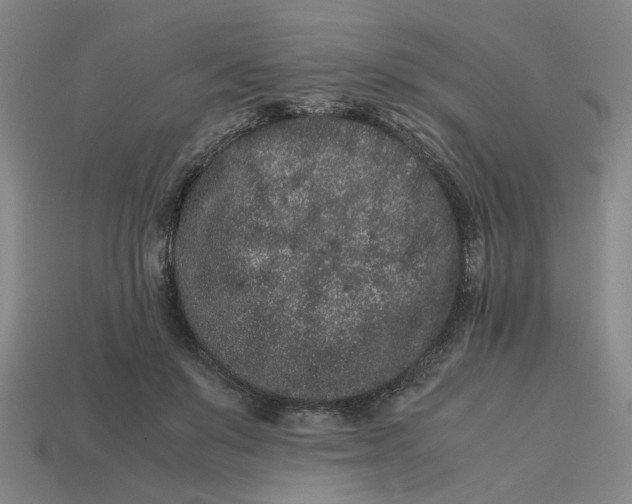 X0000113240503200910011329