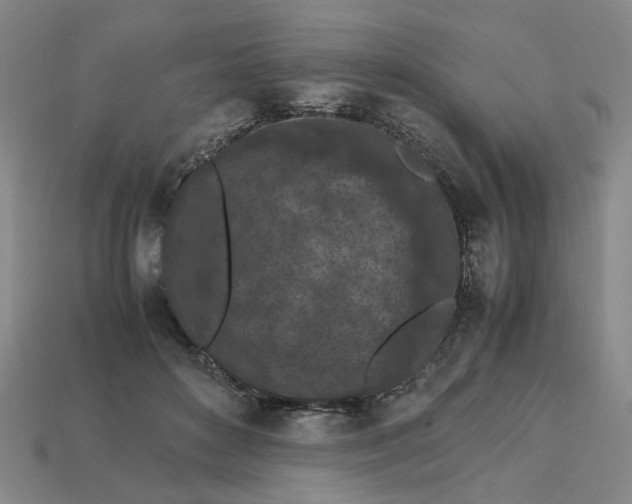 X0000113240504200910011329