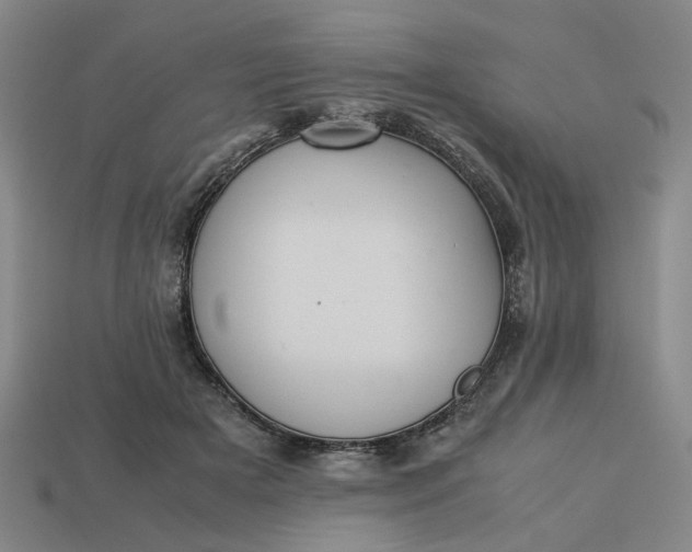 X0000113240505200910011329