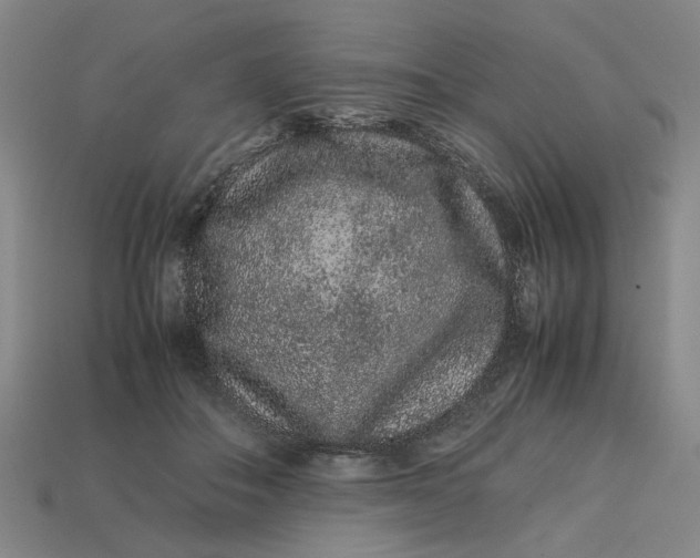 X0000113240506200910011329