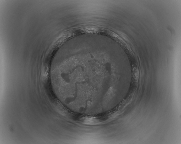 X0000113240507200910011329