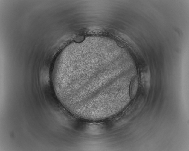 X0000113240508200910011328