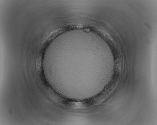 X0000113240509200910011328