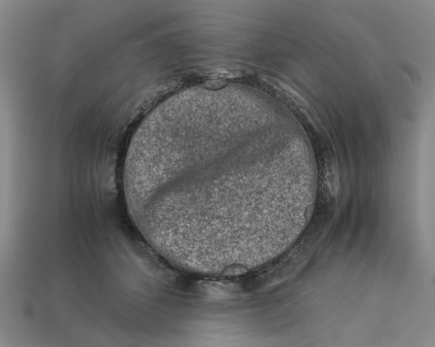 X0000113240512200910011328