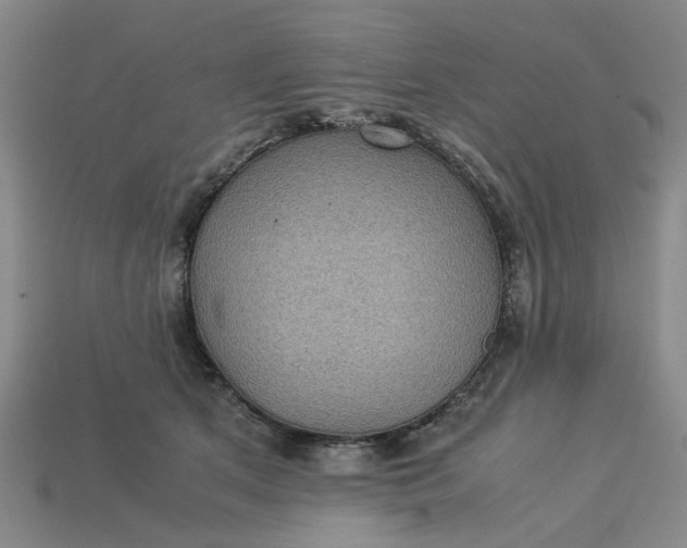 X0000113240513200910011328