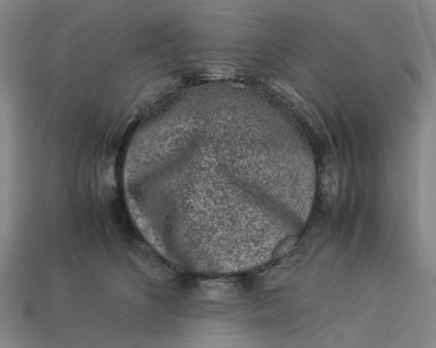 X0000113240516200910011328