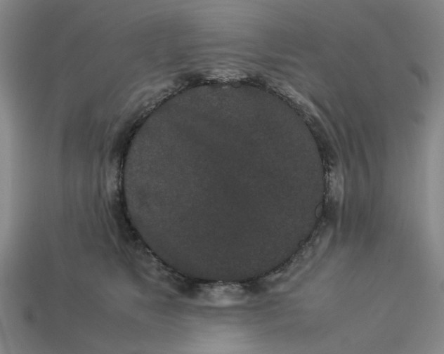 X0000113240517200910011328