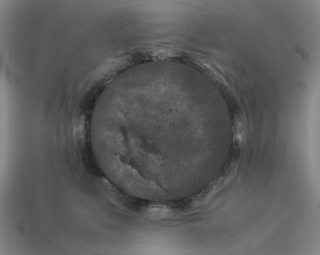 X0000113240519200910011328