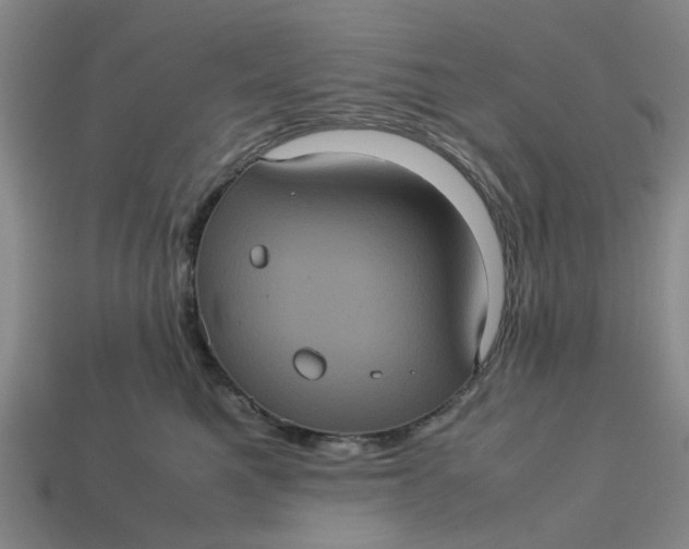 X0000113240521200910011328