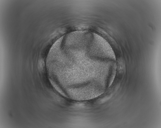 X0000113240523200910011328