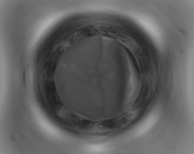 X0000113240526200910011328