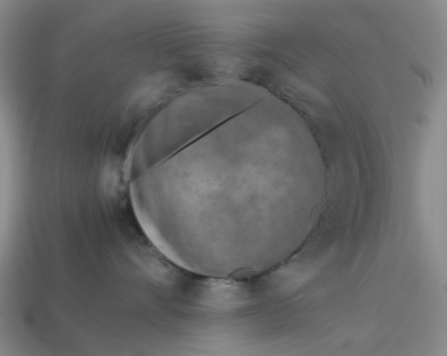 X0000113240528200910011328