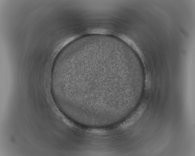 X0000113240529200910011328