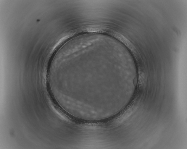 X0000113240530200910011328