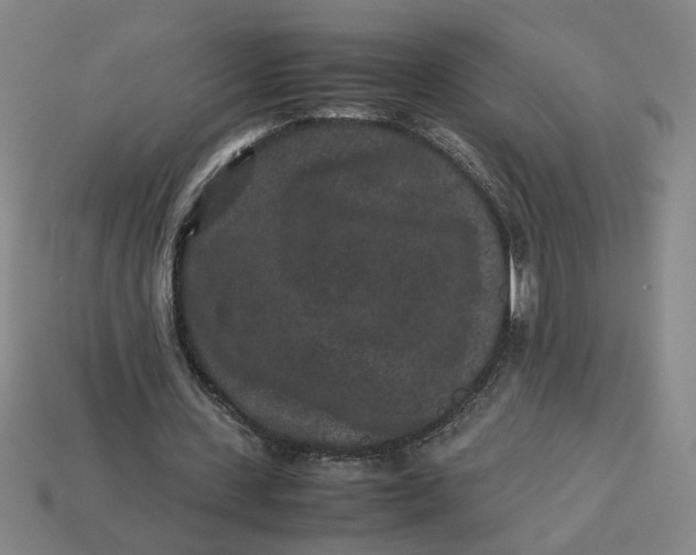 X0000113240531200910011328