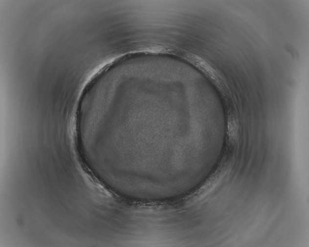 X0000113240532200910011328