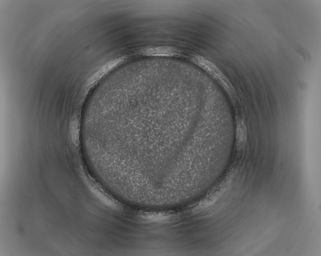 X0000113240533200910011328