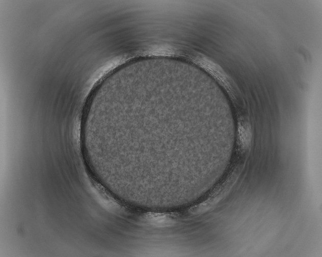 X0000113240534200910011328