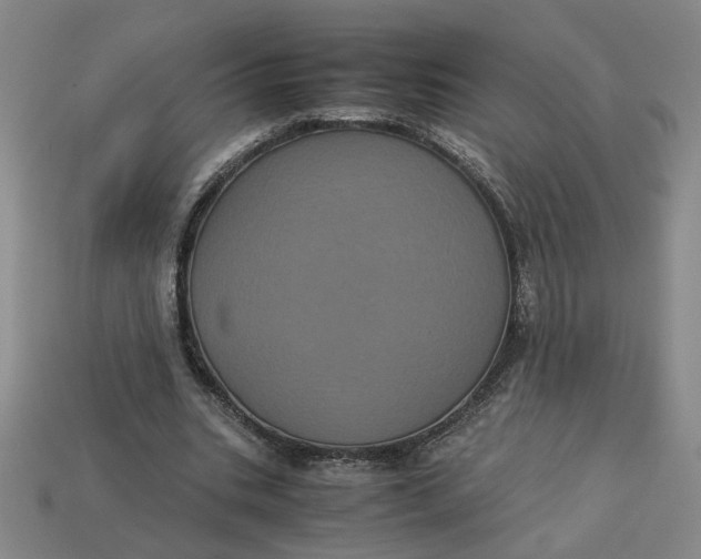 X0000113240535200910011328