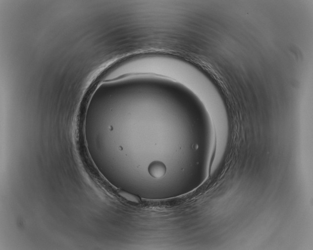 X0000113240536200910011328