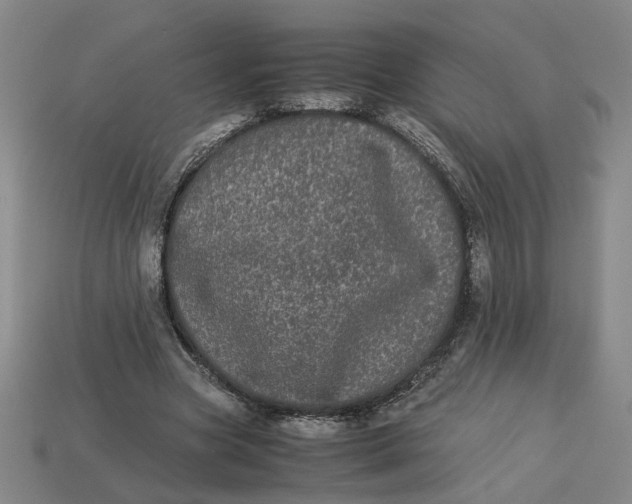 X0000113240537200910011328