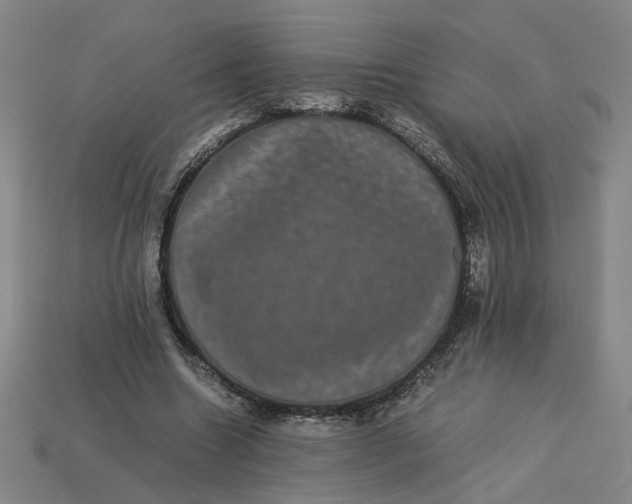 X0000113240538200910011328