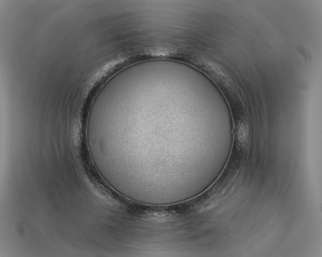 X0000113240540200910011328