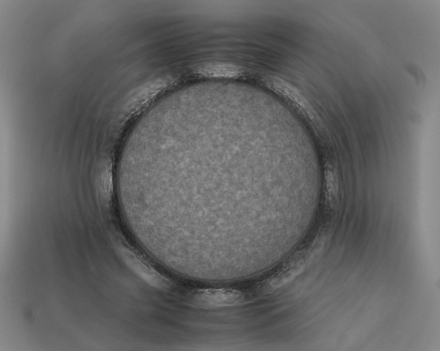 X0000113240541200910011328