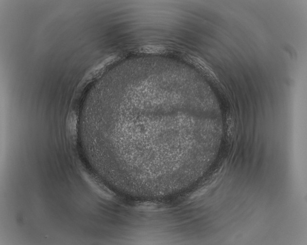 X0000113240542200910011328