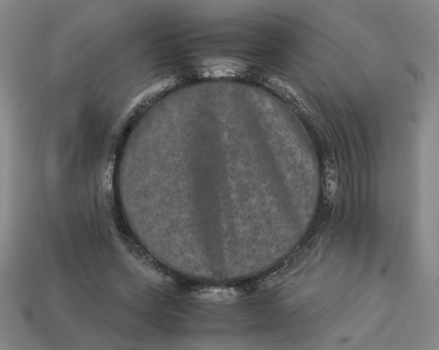 X0000113240543200910011328