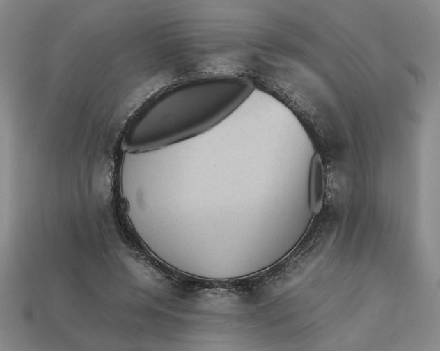 X0000113240544200910011328