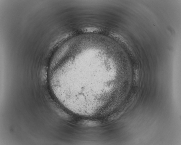 X0000113240545200910011328