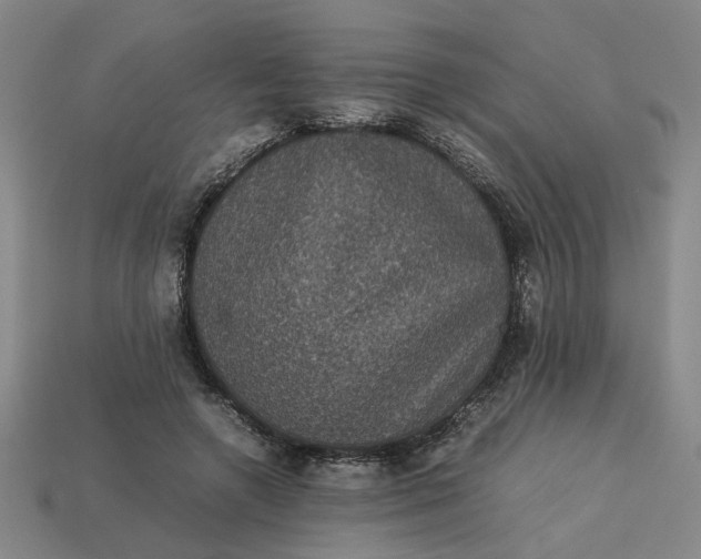 X0000113240546200910011328