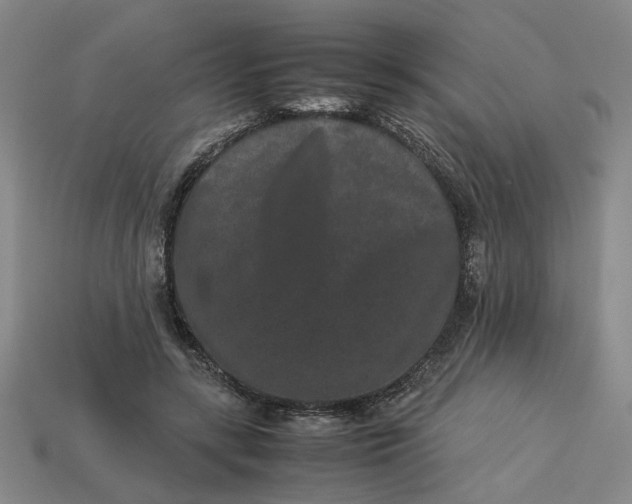 X0000113240547200910011328