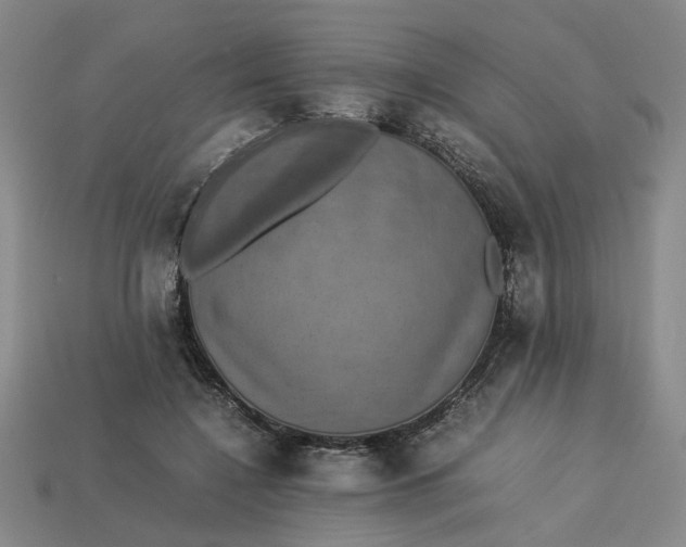 X0000113240548200910011328