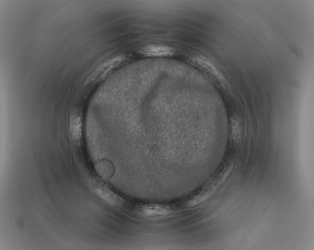 X0000113240549200910011328