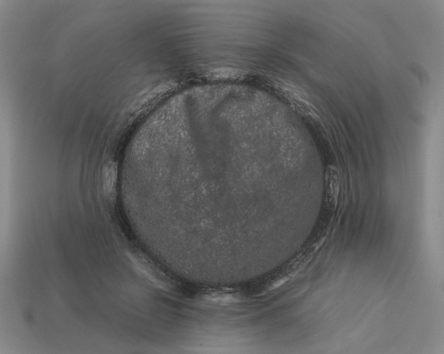 X0000113240550200910011328