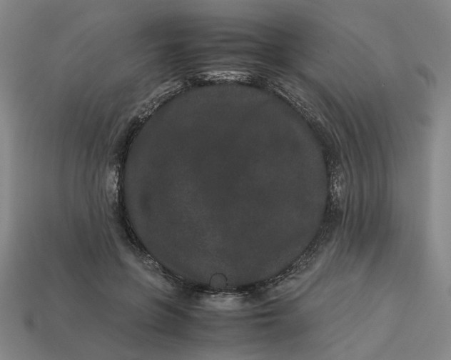 X0000113240551200910011328