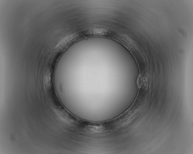 X0000113240552200910011328