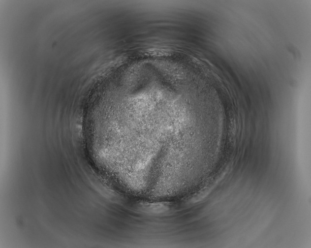 X0000113240553200910011328