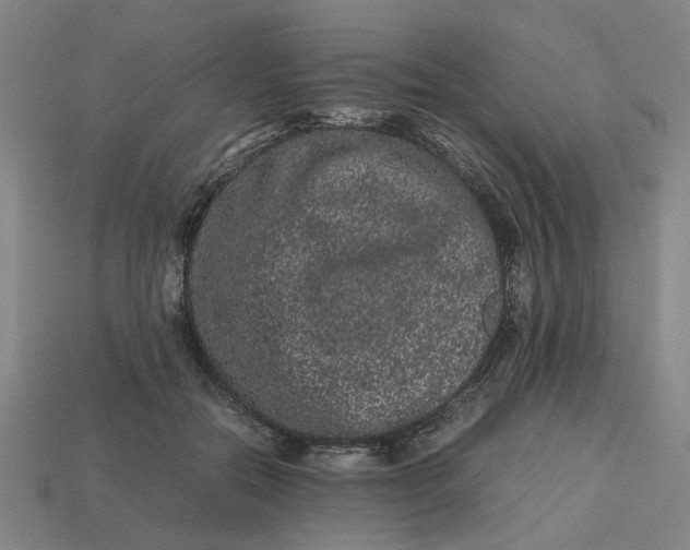 X0000113240554200910011328