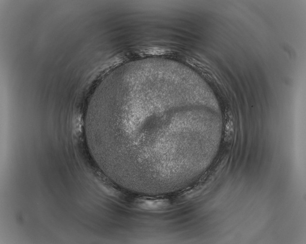 X0000113240555200910011328