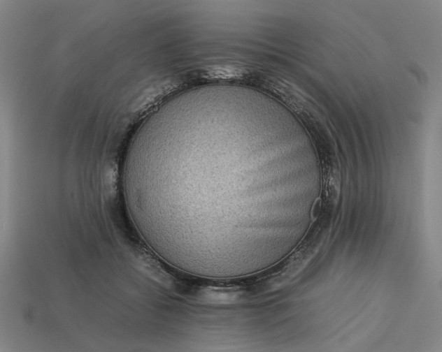 X0000113240556200910011328