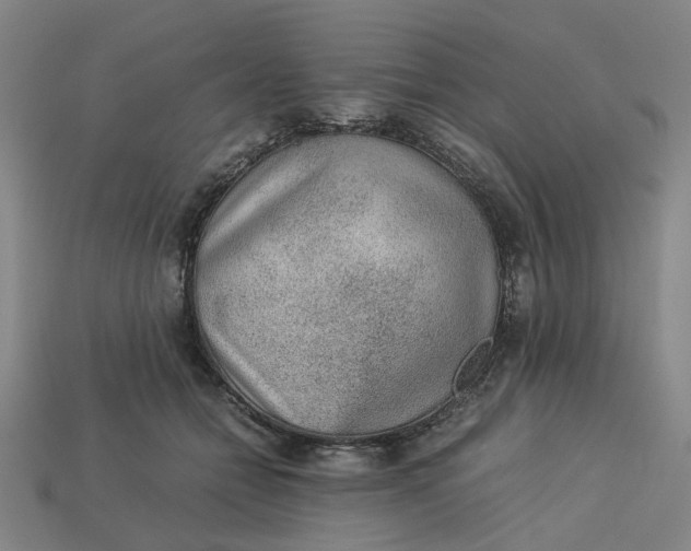 X0000113240558200910011328