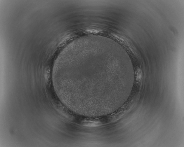 X0000113240559200910011328