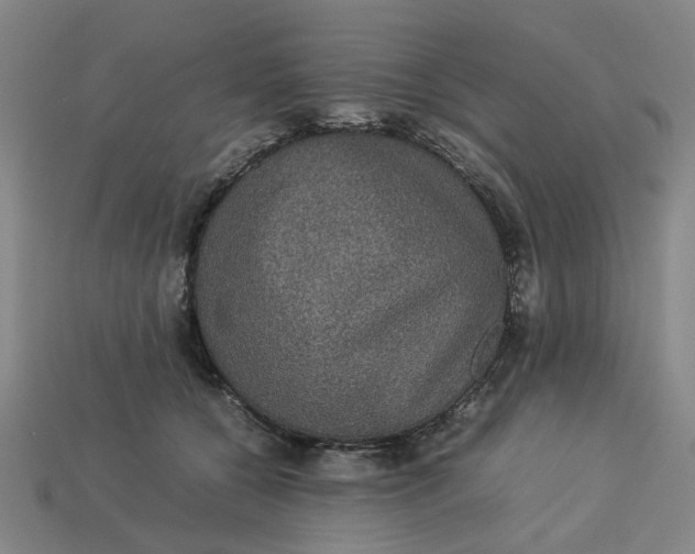 X0000113240560200910011328