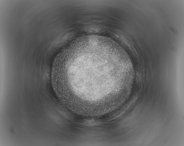 X0000113240561200910011328