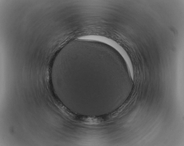 X0000113240562200910011328