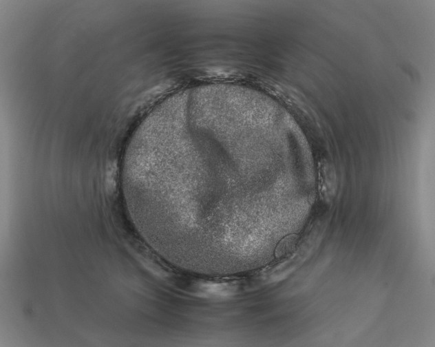 X0000113240563200910011328